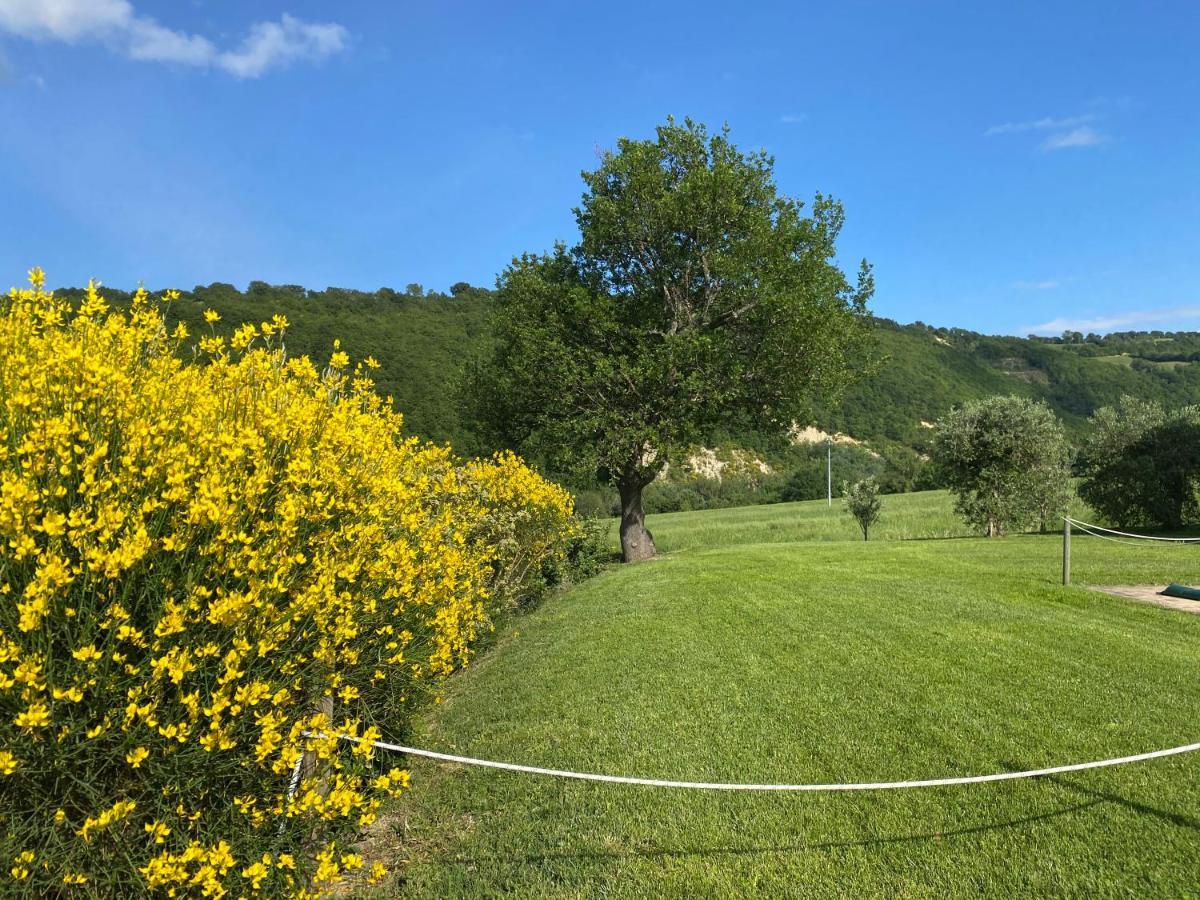 Amico Country House Serra San Quirico Экстерьер фото