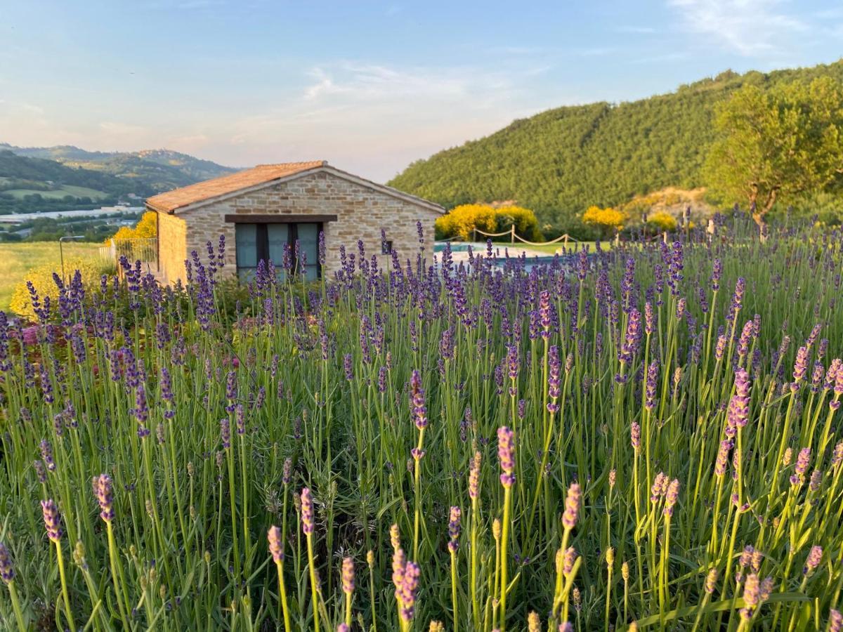 Amico Country House Serra San Quirico Экстерьер фото