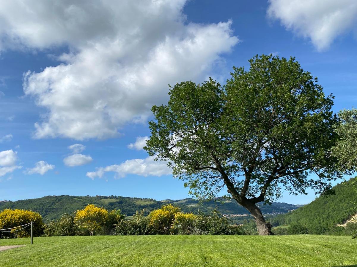 Amico Country House Serra San Quirico Экстерьер фото